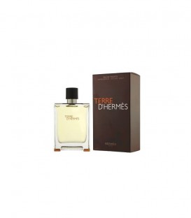 Hermes Terre D'Hermes EDT 100 ml Erkek Parfüm