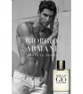 Giorgio Armani Acqua Di Gio EDT 100 ml Erkek Parfüm